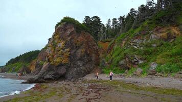 People walk on shore with rocks and trees. Clip. People are walking on beautiful beach with large rocky block. Walk on northern beach with rocks on cloudy summer day video