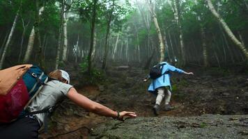 Group of tourists is walking along mountain trail in forest. Clip. Active tourists walk along trail in dense forest with rocks. Tourists go on difficult hiking route in forest with rocks video