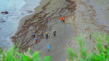 grupp av turister promenader på Strand av nordlig kust. klämma. turister promenad på sandig strand med alger på molnig dag. turister på Strand med alger efter storm video