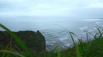 Aussicht mit schön Grün Gras auf Cliff von Meer Küste. Clip. Landschaft von felsig Küste mit Grün Gras und Meer Horizont auf wolkig Tag. Aussicht von Berg Küste zu schön Wellen auf Sommer- Tag video