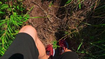 Close-up of man walking along path with green grass. Clip. Man in sports sneakers walks along mountain trail on sunny summer day. Sports walk in sneakers on narrow path with green grass video