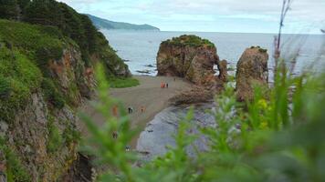 People on shore with rocks and arch. Clip. Group of people walks on northern coast of sea with rocky arches. Top view of people walking on rocky shore video