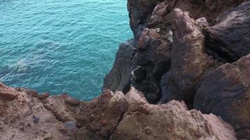 Beautiful rocks by water. Clip. Stone cliffs of coast with quiet sea water. View from edge of stone shore to sea water video