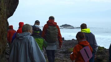 groep van toeristen wandelingen Aan steen oever. klem. toeristen wandelen Aan gevaarlijk steen kust in bewolkt het weer. groep van toeristen Aan kust met zwart rotsen van noordelijk landschap video