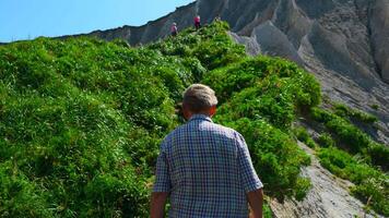 Grandfather on hike in mountains in summer. Clip. Elderly man walks along mountain path on sunny summer day. Rear view of elderly man walking on hike in hills with green grass video