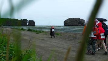 Gruppe von Touristen Spaziergänge auf Küste auf wolkig Tag. Clip. Grün Gras auf Hintergrund von Touristen Gehen durch Meer auf wolkig Tag. Gruppe von Menschen Gehen entlang Strand mit Felsen video