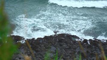 Close-up of surge of waves on rocky shore. Clip. Beautiful waves with splash roll on stones of seashore. Beautiful splashes of waves crashing on rocks on cloudy day video