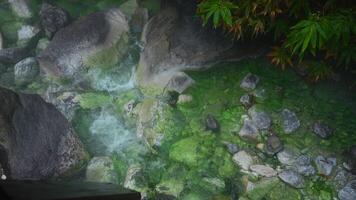 hermosa ver de fluido agua en montaña garganta en selva. acortar. hermosa corriente de río Moviente en Roca garganta. claro primavera corriente se mueve en selva en verano video