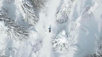 Aerial top view of people hiking on winters trail. Clip. Rural road covered by snow, landscape of winter nature. video