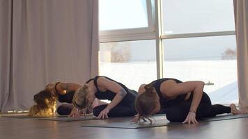 jovem em forma mulheres fazendo alongamento exercícios enquanto deitado em ioga tapetes dentro ginástica estúdio. meios de comunicação. conceito do ativo estilo de vida e corpo Cuidado. video