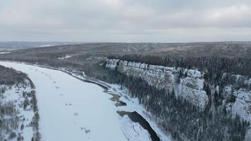 inverno floresta panorama e pinho árvore floresta crescendo em penhasco sobre congeladas rio dentro neve. grampo. tirar o fôlego aéreo Visão do natural panorama. video