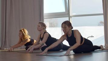 mulheres durante grupo Treinamento dentro ioga Esportes Centro. meios de comunicação. jovem fêmea atletas alongamento músculos em tapetes. video