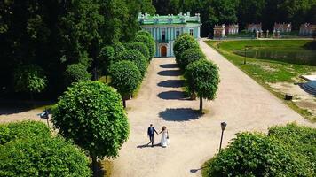 schön Jungvermählten im Palast Garten. kreativ. oben Aussicht von Jungvermählten im schön Garten. Frischvermählte Hochzeit gehen im Garten auf sonnig Sommer- Tag video