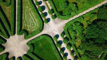 topp se av människor gående på geometrisk trädgård stigar. kreativ. skön mönster av palats trädgård på solig sommar dag. territorium av palats trädgård med skön banor och labyrinter video