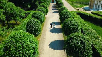 Haut vue de jeunes mariés dans jardin. créatif. couple de jeunes mariés sont en marchant dans palais jardin. riches jeunes mariés sur leur mariage journée dans jardin de ancien biens video