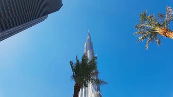 burj khalifa på dubai köpcenter i uae, känd landmärke. handling. låg vinkel se av en skyskrapa och handflatan träd. video