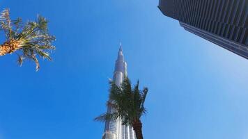 Burj Khalifa at Dubai Mall in UAE, famous landmark. Action. Low angle view of a skyscraper and palm trees. video