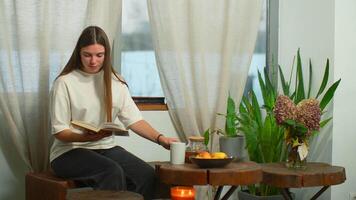 joven mujer es leyendo libro con té en acogedor cafetería. medios de comunicación. hermosa joven mujer es leyendo libro en cafetería. acogedor invierno día en café con jarra de té y favorito libro video