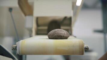 pane produzione linea. scena. cibo fabbrica trasportatore cintura. pane pagnotta su produzione linea a cibo pianta. pagnotta di pane su trasportatore cintura video