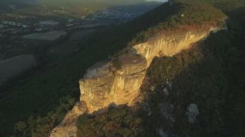 aéreo vista. disparo. pino bosque. ver de el roca. vuelo a lo largo el rocoso montaña. ver de el pino arboles en el rock video