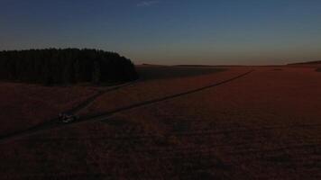 Sonnenuntergang auf das Feld. Landschaft, sonnig Dämmerung im ein Feld. Weizen Feld im das Sonnenuntergang Antenne Aussicht video