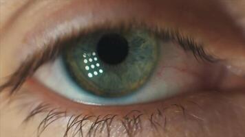 Close-up of a Blinking Man's Eyes. Video. Green Eyes with yellow Dots. Close-up footage of a man's eye, which is moving and blinking video