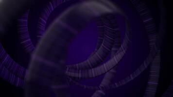 Animation of rotating, purple interwoven spirals on black background, seamless loop. Curved flashing wide lines flowing and spinning. video