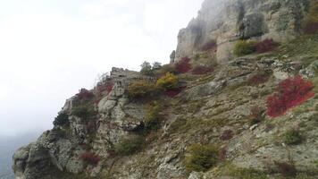 aéreo ver de escarpado acantilados en grueso niebla con rojo hermosa arbustos y amarillo arbustos disparo. parte superior ver de Roca colinas cubierto con brumoso misterioso nubes y pequeño arbustos, otoño escenario. video