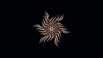 Abstract motion background with kaleidoscope view, shapes of flowers that open and close with changing movement. Animation. Beautiful flower of tiny circles, seamless loop. video