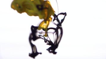 Close up for yellow and brown color paint ink drops poured in water in slow motion on white background. Inky cloud swirling flowing underwater, smoke explosion. video