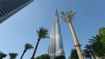 burj Khalifa im das Stadt von Dubai, vereinigt arabisch Emirate. Aktion. niedrig Winkel Aussicht von ein Riese Wolkenkratzer und Palme Bäume. video