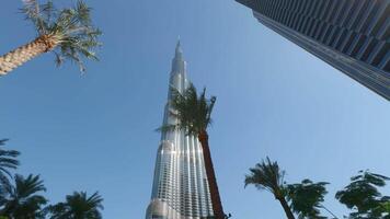 Burj Khalifa in the city of Dubai, United Arab Emirates. Action. Low angle view of a giant skyscraper and palm trees. video