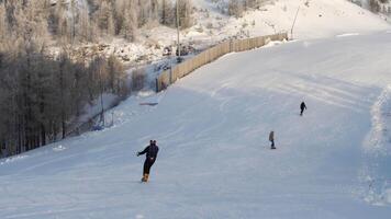 arrière vue de snowboarders équitation vers le bas le neigeux pente pendant une ensoleillé hiver jour, actif mode de vie et sport concept. Stock images. Montagne recours sur neigeux hiver Contexte avec blanc forêt. video