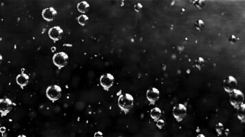 Beautiful transparent bubbles in water moving slowly. Stock footage. Close up of many bubbles of air flowing underwater and some of them rising up on black background, monochrome. video