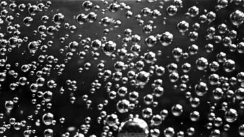 Abstract air bubbles moving underwater. Stock footage. Close up of round transparent oxygen bubbles flowing slowly isolated on black background, monochrome. video