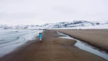 atemberaubend Landschaft mit Winter Meer Küste umgeben durch schneebedeckt Hügel auf hell Himmel Hintergrund. Filmaufnahme. Rückseite Aussicht von ein Mädchen Laufen entlang das kalt Meer Küste. video