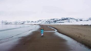 Breathtaking landscape with winter sea coast surrounded by snowy hills on bright sky background. Footage. Rear view of a girl running along the cold sea coast and jumping over the stream. video