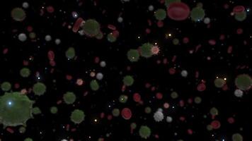 Virus Ausbruch unter mikroskopisch. Animation. abstrakt biologisch Hintergrund mit Coronavirus oder covid 19 Zellen im Blut fließen auf schwarz Hintergrund, nahtlos Schleife. video