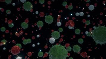 3D virus cells in human organism. Animation. Abstract bacteria and red blood cells moving on black background, pathogen respiratory influenza, seamless loop. video