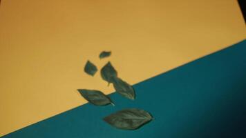 Blue alcoholic cocktail on colorful surface with green leaves. Stock footage. Close up of a wooman hand taking a glass with unusual beverage from yellow and blue fabric with artificial leaves and video