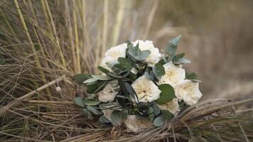 blanc bouquet de des roses mensonge sur sec herbe. action. proche en haut de magnifique la mariée bouquet de des roses avec vert pétales sur flétri l'automne herbe, Naturel Contexte. video