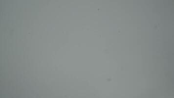 Falling snowflakes on gray sky background. Concept. Bottom view of heavy cloudy sky with falling snow in winter season. video