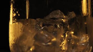 Close up of process of pouring alcoholic drink in glass with ice isolated on dark background. Stock footage. Concept of party, pouring whiskey, brandy, scotch into the glass with many cubes of ice. video