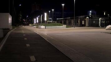 natt stad parkera och de tömma asfalterad trottoar nära grön gränd. stock antal fot. väg i de parkera på sent kväll längs de lyktor. video