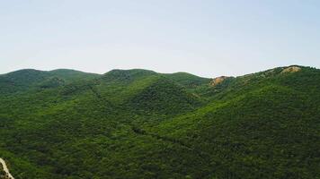 Top view of beautiful green ridges of mountains on background of blue sky. Shot. Beautiful mountain landscape with lush green grass on tops in beautiful summer video