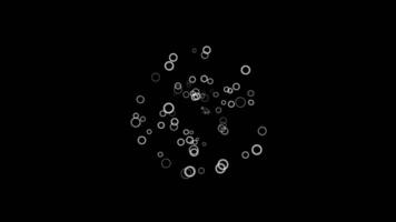 abstract wit ringen krijgen dichterbij naar de camera Aan zwart achtergrond. animatie. veel in beweging klein cirkel lijsten, monochroom. video
