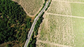 parte superior ver de el autopista a lo largo el agrícola campos. disparo. desarrollado grano cultura debajo el abrasador Dom video