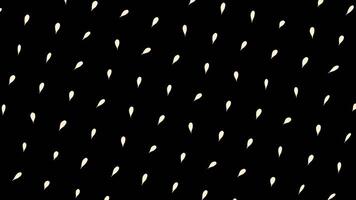 abstrakt kronblad roterande och rör på sig uppåt isolerat på svart bakgrund. animation. svartvit rörelse bakgrund med spinning rader av löv. video
