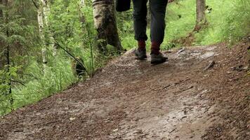 posteriore Visualizza di giovane uomo a piedi su il pista sentiero nel estate verde foresta. azione filmato. maschio viaggiatore esplorando bellissimo foresta, attivo vita concetto. video