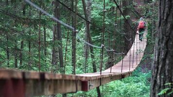 uomo a piedi su un' sospeso ponte nel nazionale parco, Stati Uniti d'America. azione filmato. posteriore Visualizza di un' uomo escursionista con zaino il trekking nel foresta di incernierato ponte video